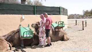 Gigantikus didkós arab gádzsi kúrása