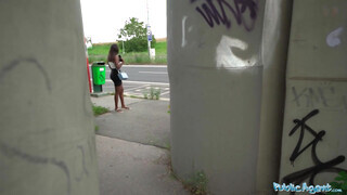 Public Agent - Óriás didkós barna bige dug