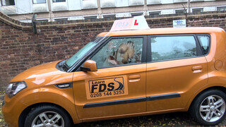 Fake Driving School rá spriccelek a óriási néger faszodra